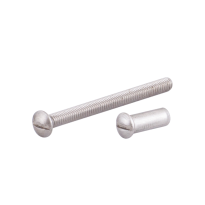 AG0352 RVS patentbout + huls