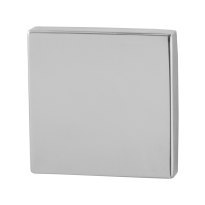 GPF0900.42 blinde rozet 50x50x8mm RVS gepolijst