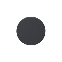 GPF0900VRAS blinde rozet 53x6mm antraciet