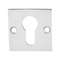 GPF0902.48 cilinderrozet 50x50x2mm RVS gepolijst