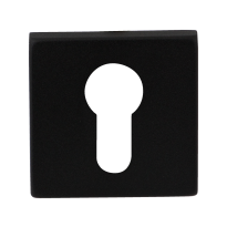 GPF8902.02 cilinderrozet 50x50x8mm zwart