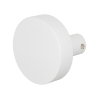 GPF8965.62 Wit excentrische knop 60x16mm