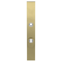 GPF9038.92P4 veiligheidsbuitenschild met kerntrekbeveiliging PC92 PVD mat messing