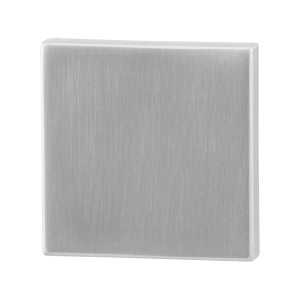 GPF0900.02 RVS bl. rozet 50x50x8