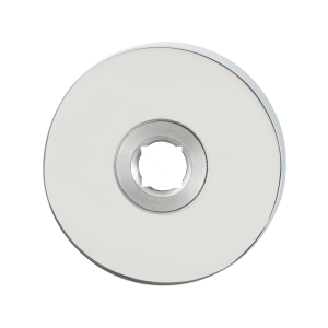 GPF1100.40 RVS pol ronde rozet 50x8mm