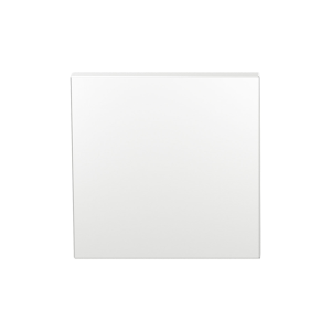 GPF199E Blinde Rozet 53x53x6,5 mm Wit Egaal