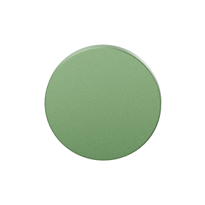 GPF199E Blinde Rozet 53x6mm Leaf