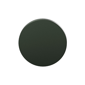 GPF199E Blinde Rozet 53x6mm Moss