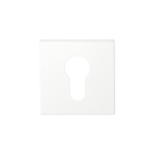 GPF8902.42 cilinderrozet 50x50x8mm wit