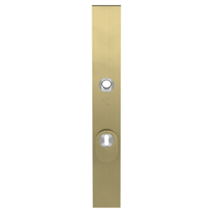 GPF9038.72P4 veiligheidsbuitenschild met kerntrekbeveiliging PC72  PVD mat messing