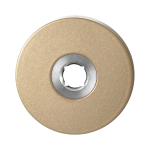 GPF1100.A4 rozet 50x8 mm Champagne blend