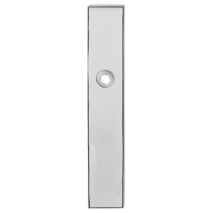 GPF1100.65 RVS pol langsch rh WC55/8 gr