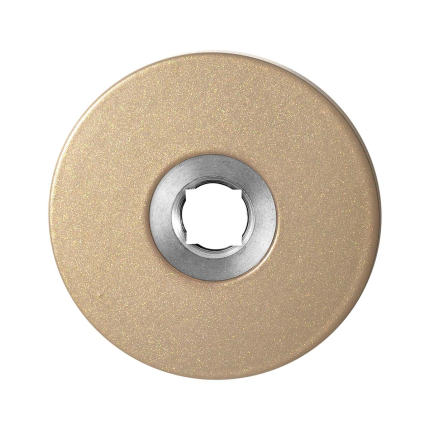 GPF1105L Champagne ronde rozet 50x6mm