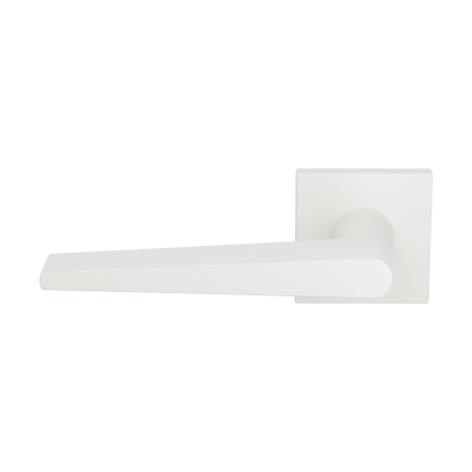 GPF2060.62-02L deurkruk op rozet 50x8