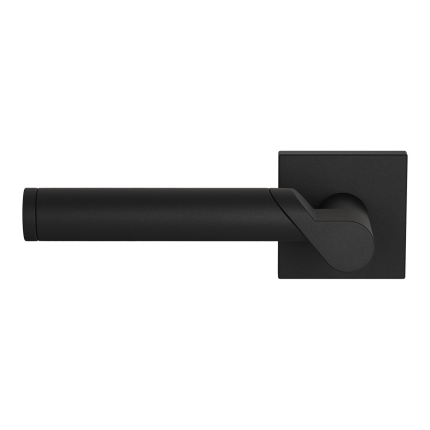 GPF3025.61-02L deurkruk op rozet 50x8mm
