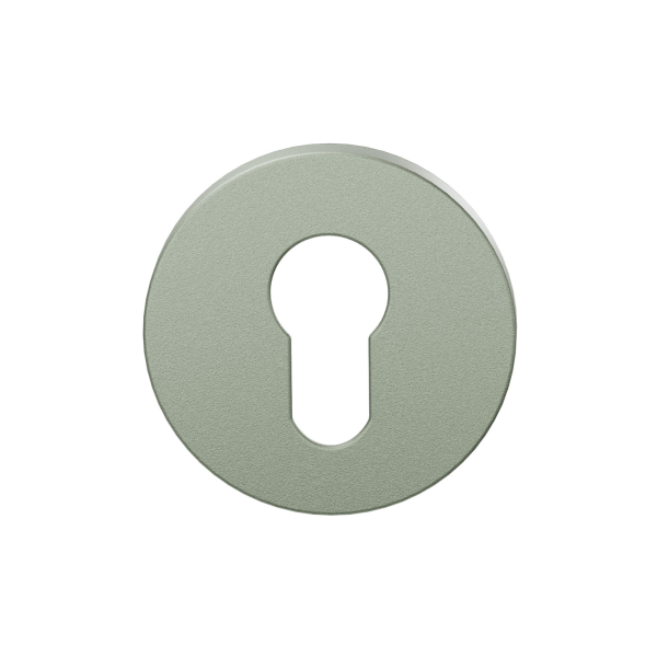 GPF199E Cilinderrozet 53x6mm Clay