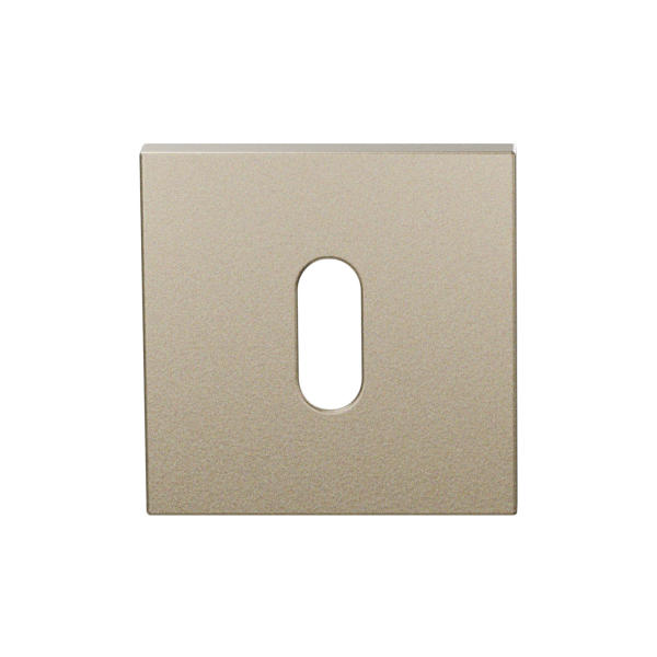 GPF199E Sleutelrozet 53x53x6,5 mm Champagne Blend