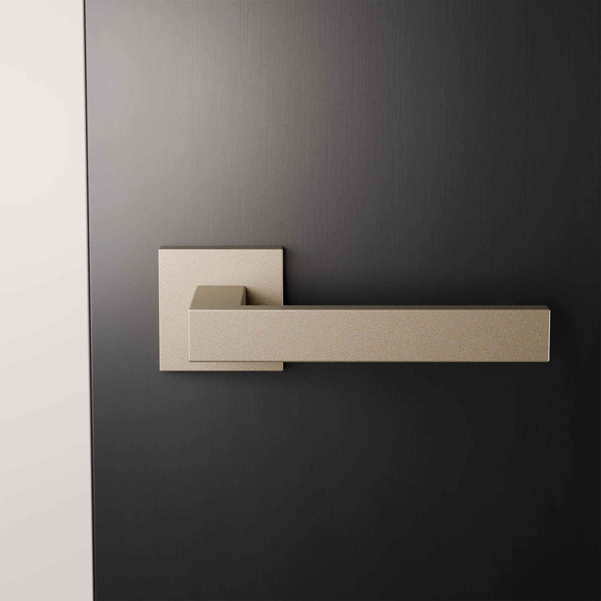 GPF1308A40100 02 rozet sfeer deur donkere voor.jpg